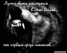 Дикий